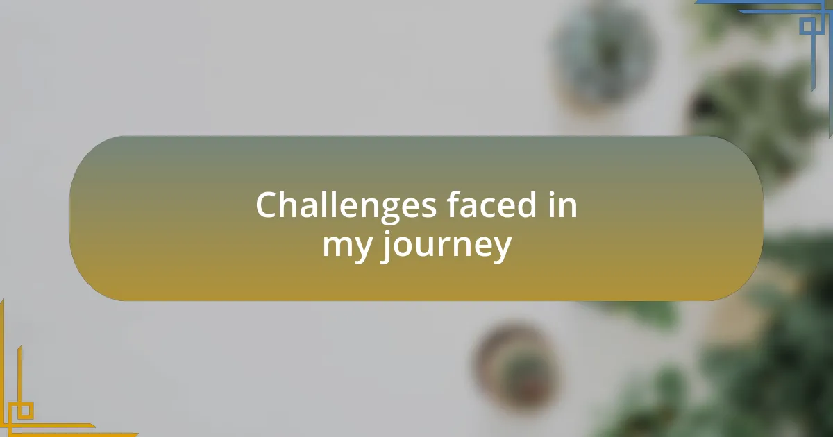 Challenges faced in my journey