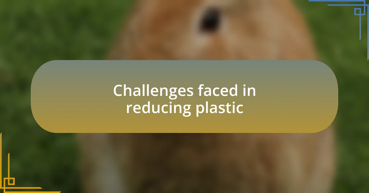 Challenges faced in reducing plastic