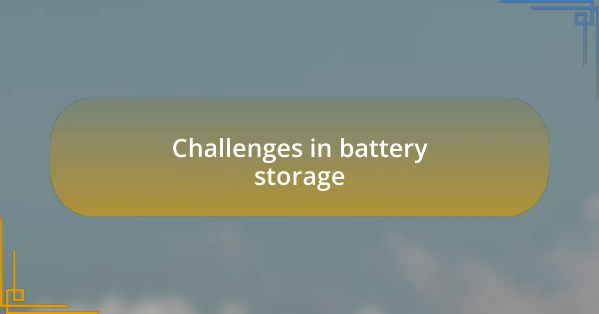 Challenges in battery storage