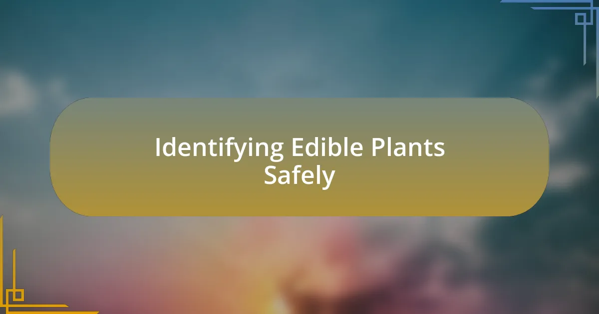 Identifying Edible Plants Safely