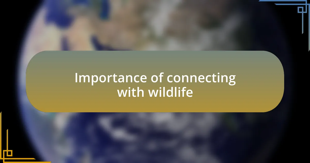 Importance of connecting with wildlife