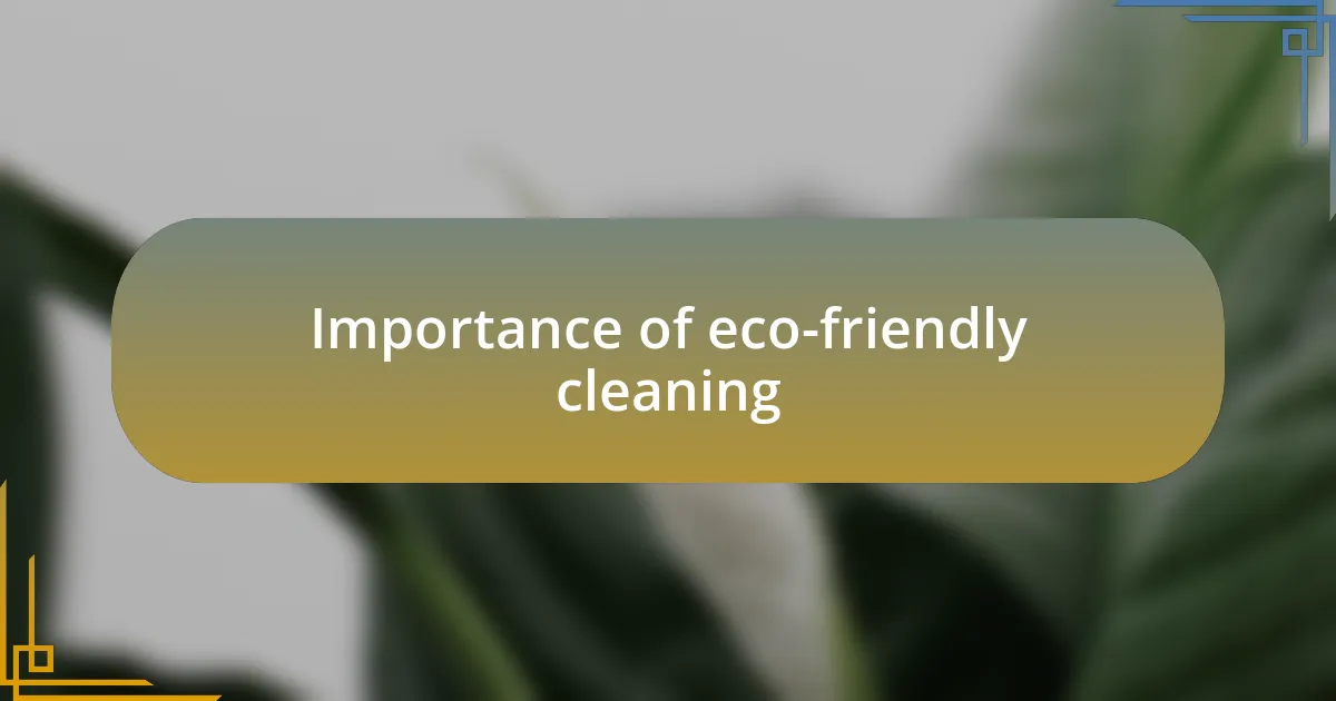 Importance of eco-friendly cleaning