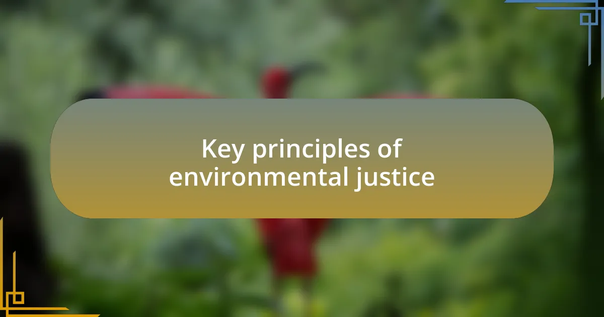 Key principles of environmental justice