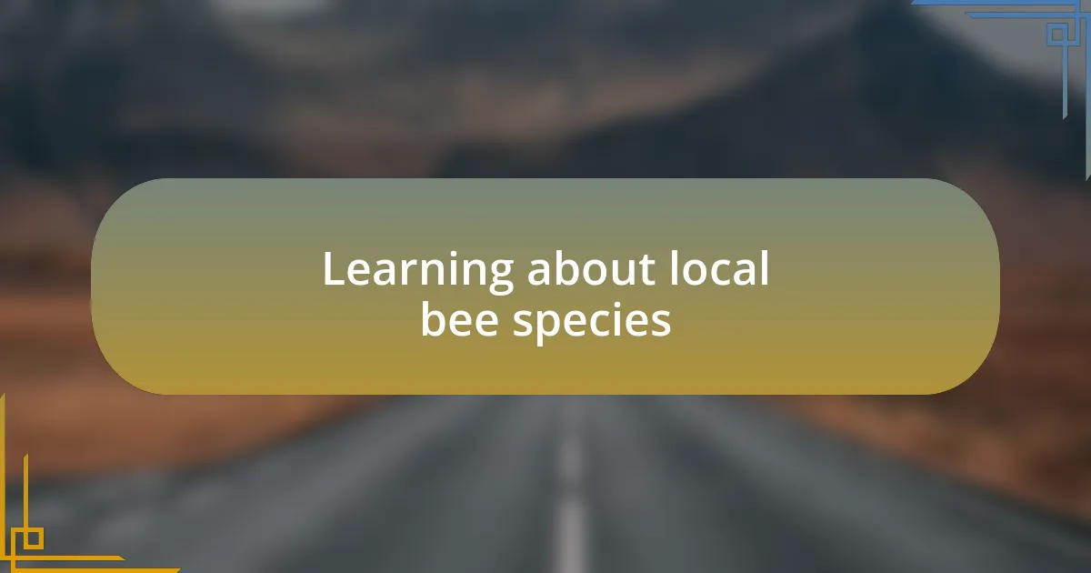 Learning about local bee species