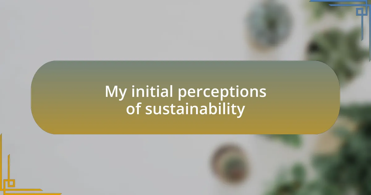 My initial perceptions of sustainability
