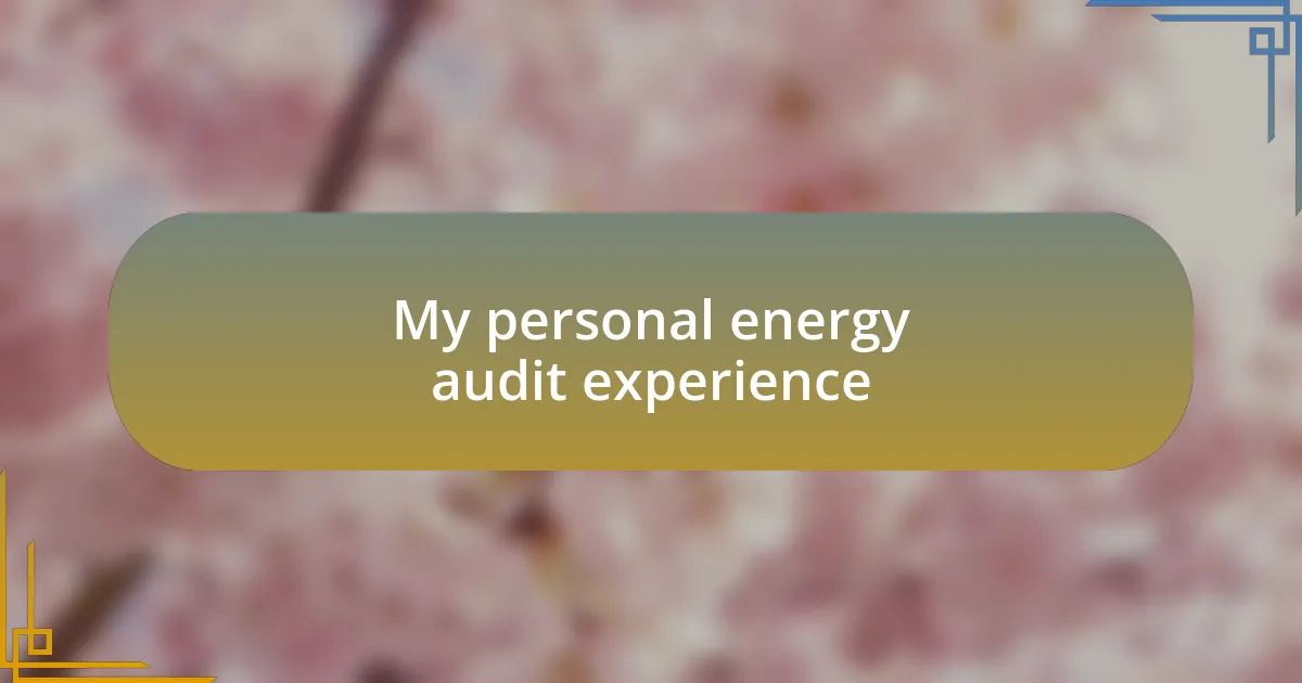 My personal energy audit experience