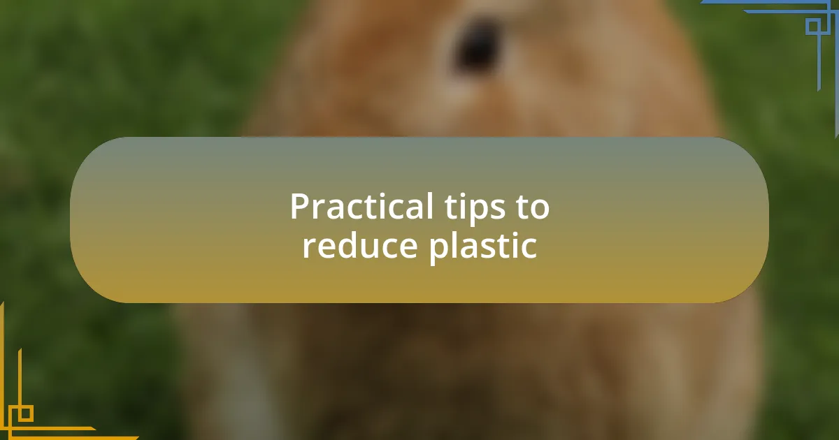 Practical tips to reduce plastic