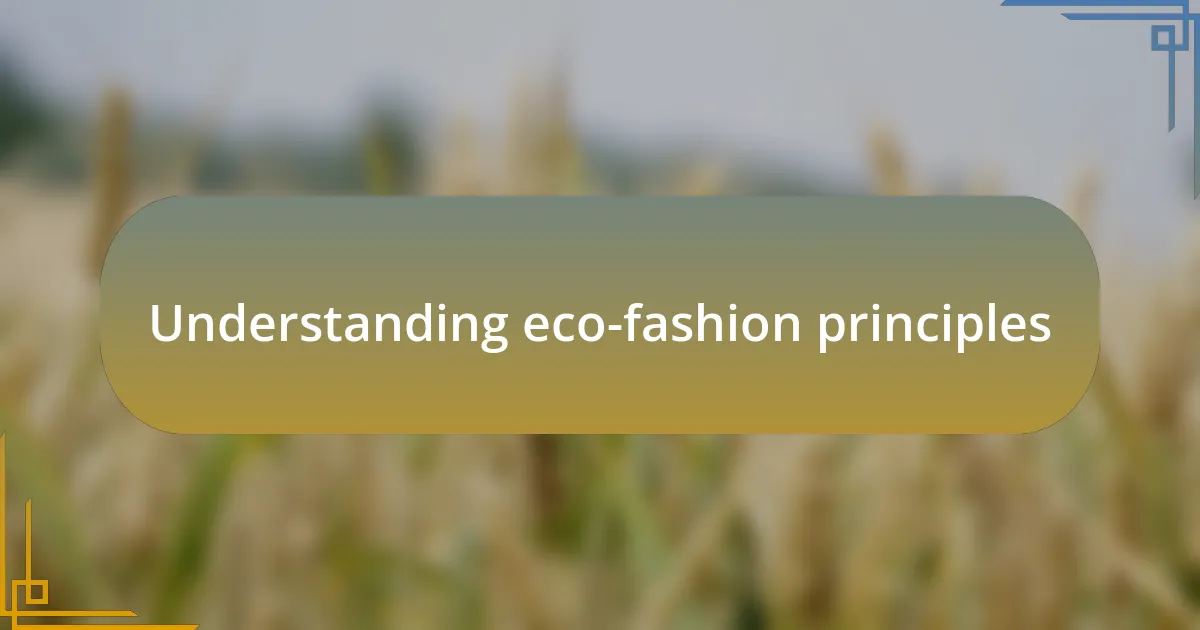Understanding eco-fashion principles