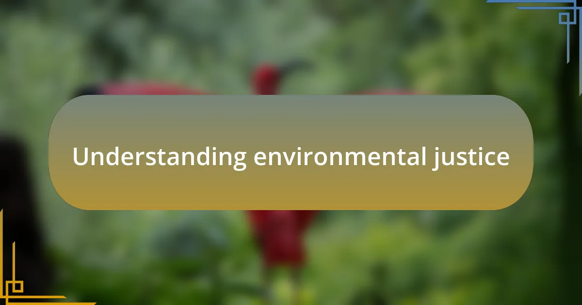 Understanding environmental justice