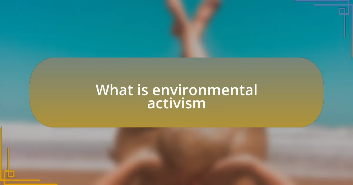 What is environmental activism